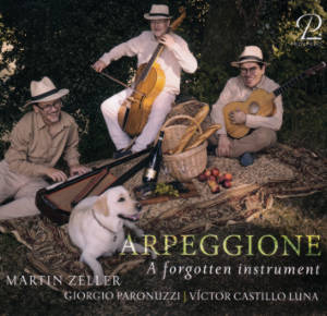 Arpeggione, A forgotten instrument