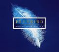Bluebird – Voices from Heaven, Werke von Rutter, Stanford, Casals, Händel, Grieg, Finzi, Fauré, Tavener / Decca