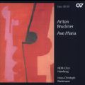 Anton Bruckner, Ave Maria / Carus Anton Bruckner, Ave Maria / Carus