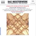 J.S. Bach Geistliche Solokantaten / Naxos J.S. Bach Geistliche Solokantaten / Naxos