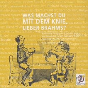 Was machst du mit dem Knie, lieber Brahms? Pianistische Parodien im Stil großer Meister / Edition Ohrwurm
