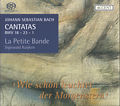 Johann Sebastian Bach, Cantatas for the Complete Liturgical Year / Accent Johann Sebastian Bach, Cantatas for the Complete Liturgical Year / Accent
