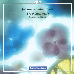 Johann Sebastian Bach Trio Sonatas / cpo