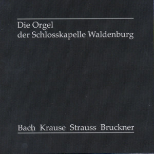 Die Orgel der Schlosskapelle Waldenburg/Sachsen / CAB
