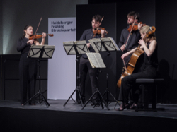 NOVO Quartet, Foto: studio visuell